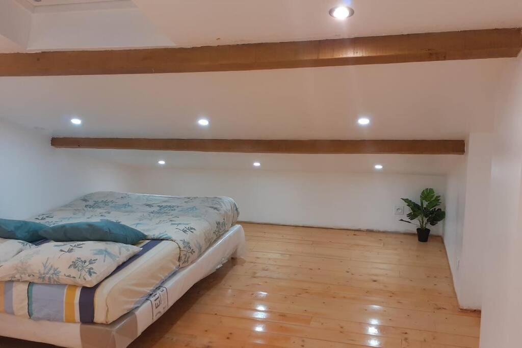Appartement La Joie Dans Quartier Chic Pibrac Exteriér fotografie