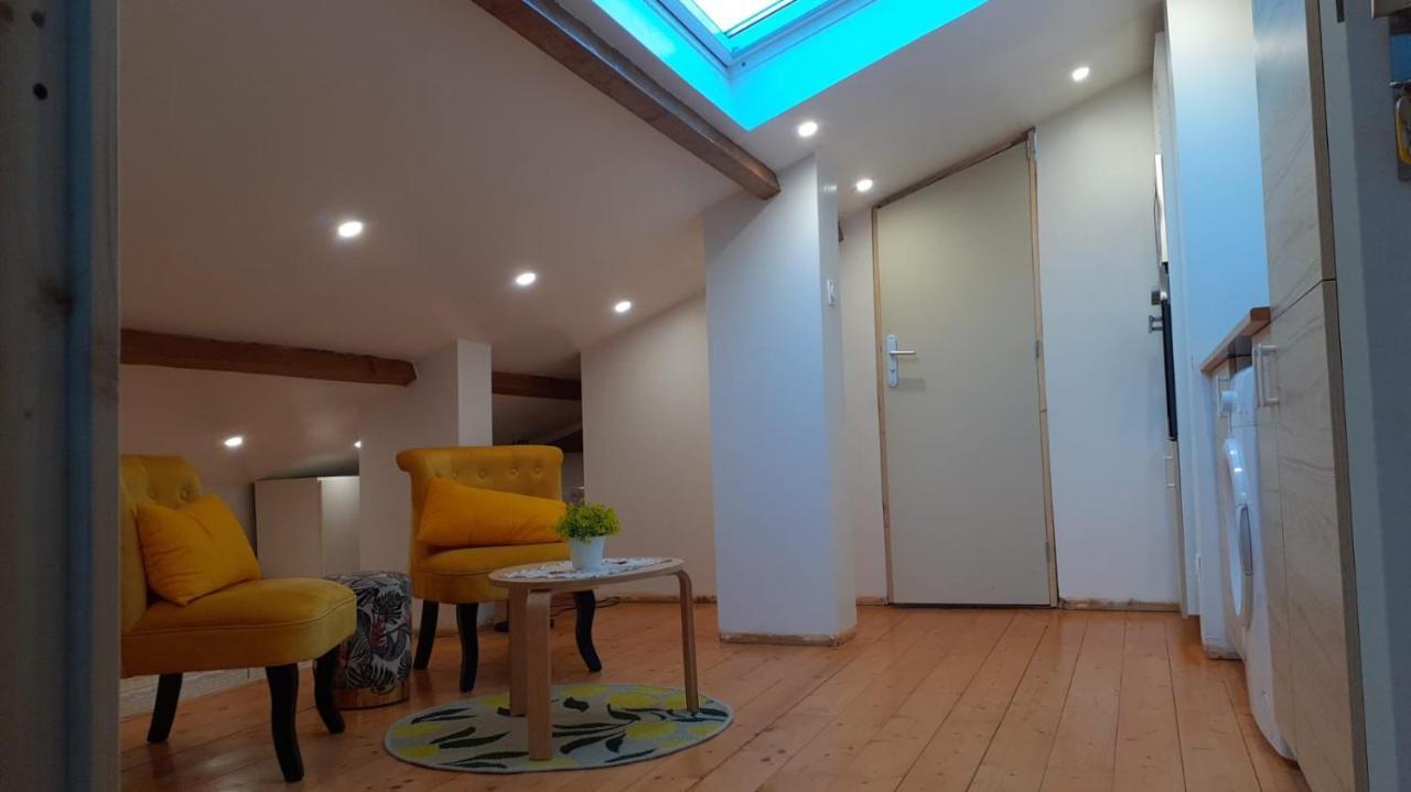 Appartement La Joie Dans Quartier Chic Pibrac Exteriér fotografie